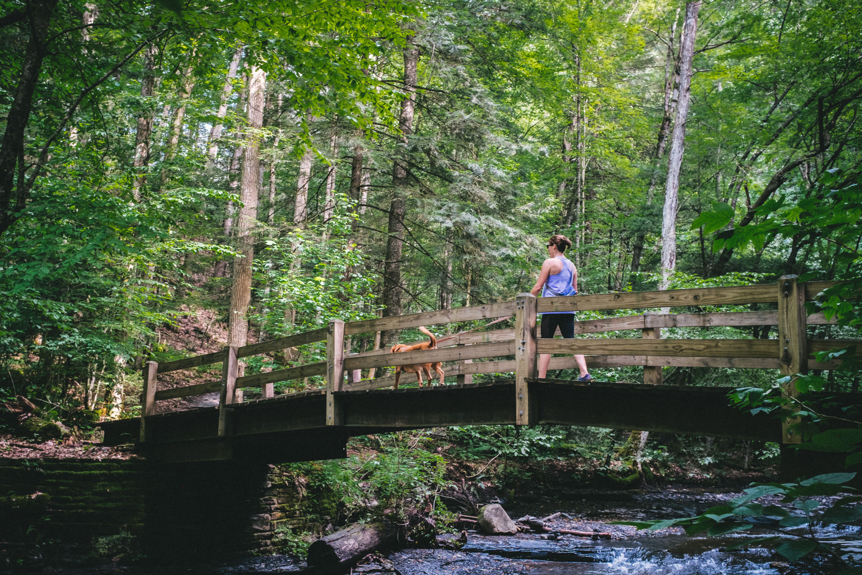 Filmore Glen